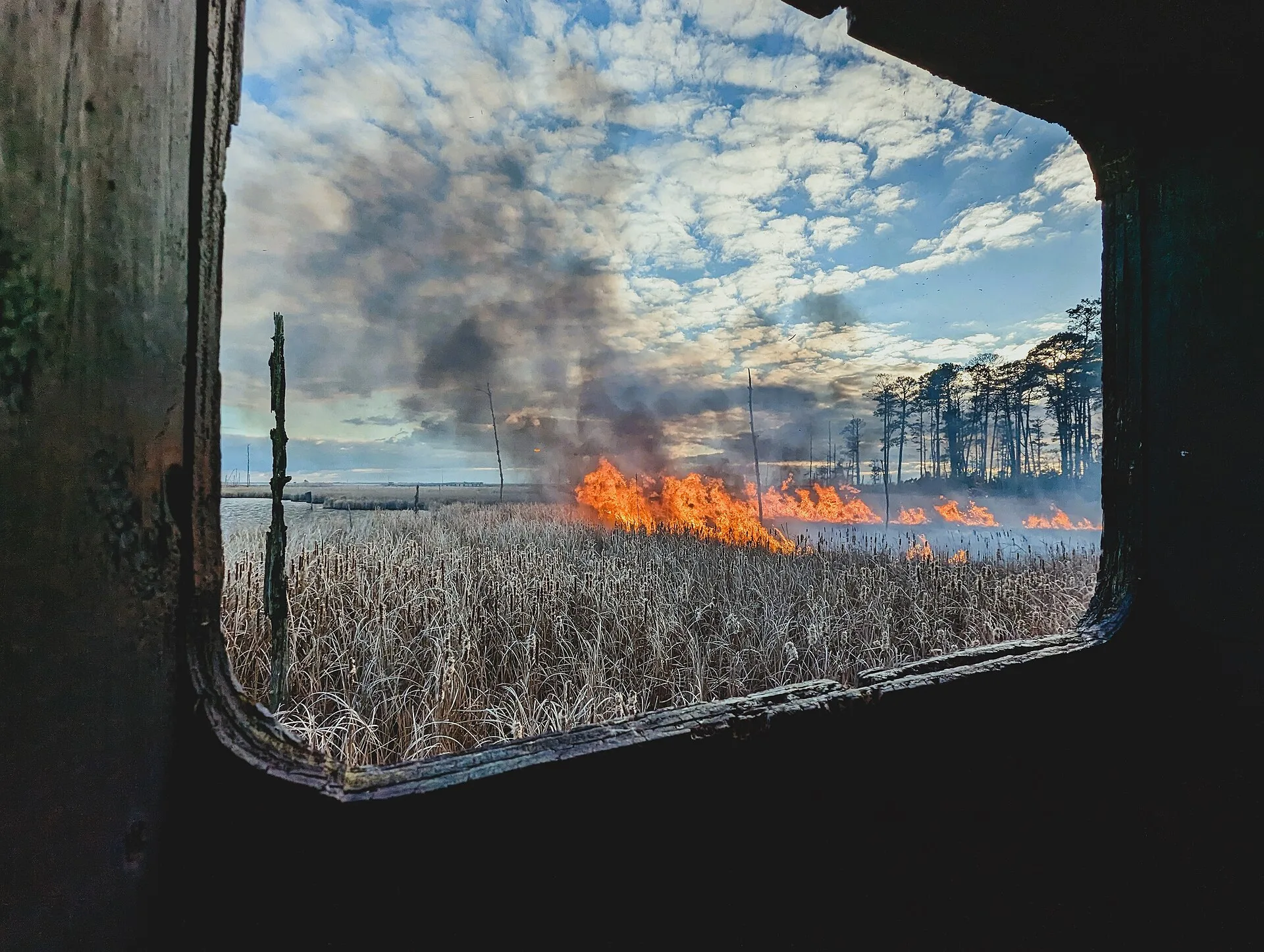 2024 USFWS Fire Employee Photo and Video Contest - Wildcard Category WINNER A prescribed fire is viewed through a window of a bird blind (wildlife observation blind) at Blackwater National Wildlife Refuge in Maryland. Jenny Dillon/USFWS. Road trip photography: spend on position, not on glass
