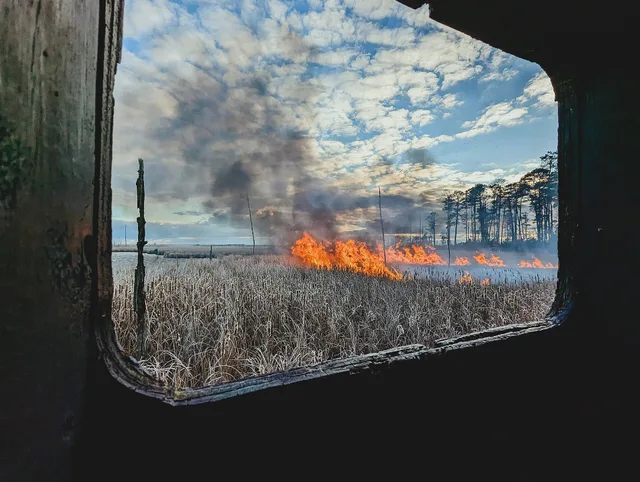 2024 USFWS Fire Employee Photo and Video Contest - Wildcard Category WINNER A prescribed fire is viewed through a window of a bird blind (wildlife observation blind) at Blackwater National Wildlife Refuge in Maryland. Jenny Dillon/USFWS. Road trip photography: spend on position, not on glass