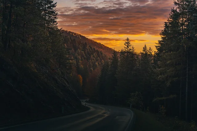 road, street, forest, dawn, sunset, sun, fall, autumn, landscape, nature, fog, trees, sky, clouds, road, forest, forest, nature, nature, nature, nature, nature. Scenic routes time: which season suits a drive best?