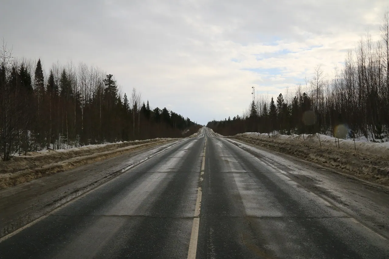 road, highway, nature, asphalt, roadside, track, dirt, trees, forest, snow