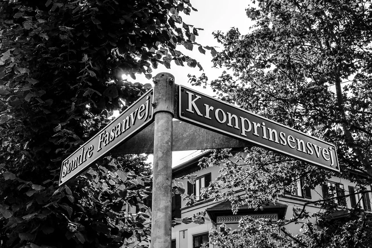sign, road, path, corner, orientation, metal, denmark, copenhagen, black-and-white, city, guide, orientation system, find, looking for
