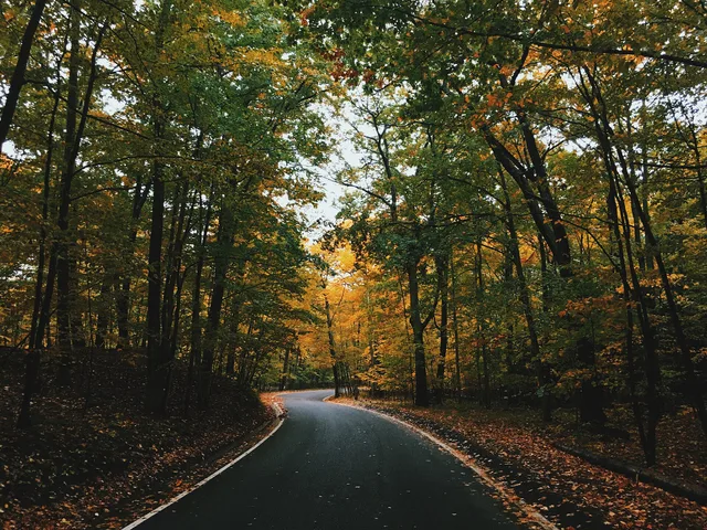 Tunnel of Trees Scenic Heritage Route near Harbor Springs, Michigan, United States. Six formats for scenic route case studies, from two seasons to services