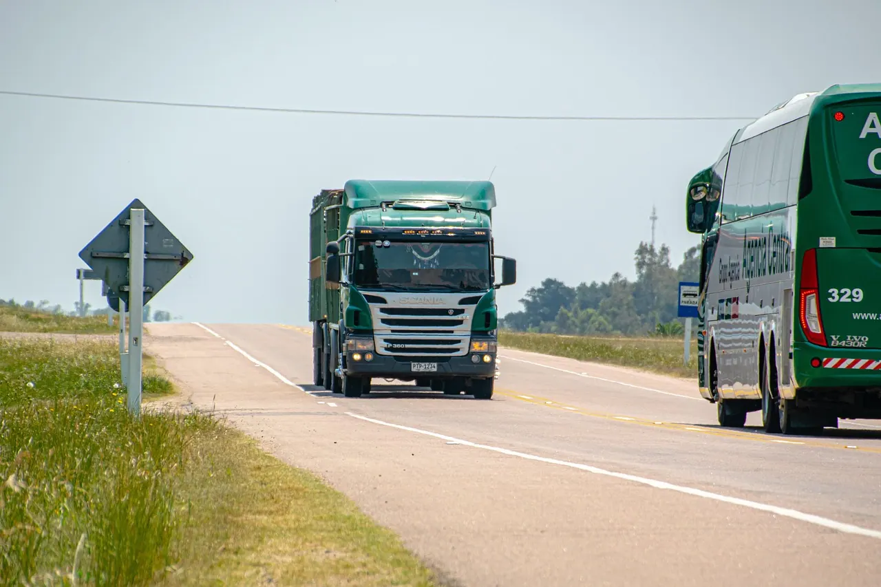truck, logging truck, road, highway, route, pavement, cargo, wood transport, transport, bus, vehicle