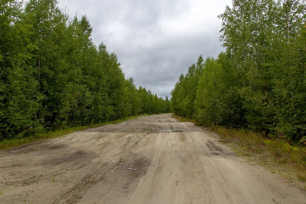 off-road, dirt, road, bumps, rough road, travel, suv, rough road, rough road, rough road, rough road, rough road. 5 things to weigh up on unusual roadside stops cost