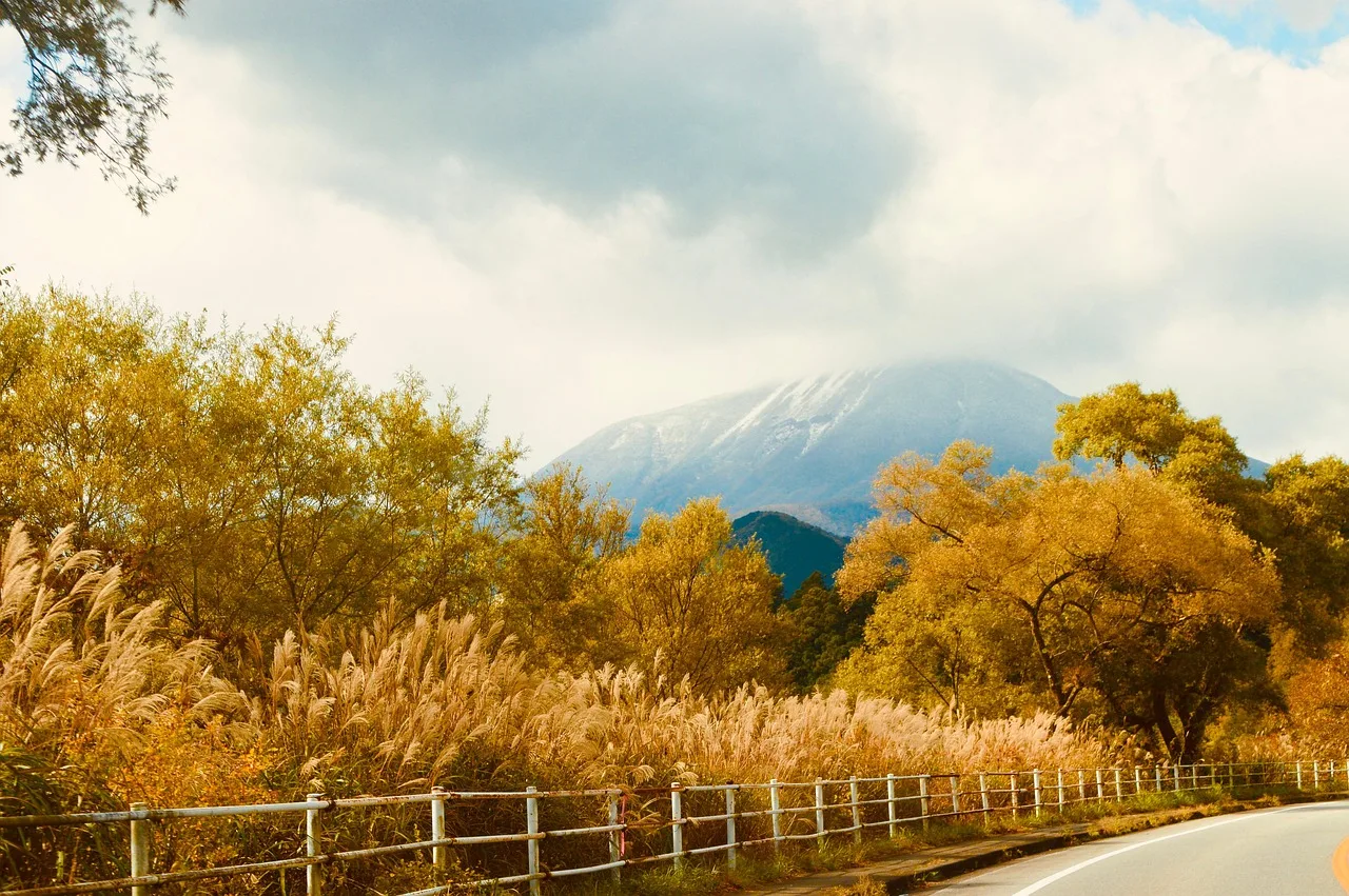road, tree, grass wipe, nature, roadside, volcano, mountains. Five cost lines, one padding line: a roadside attractions weekend budget
